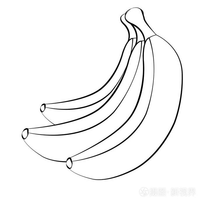 向量香蕉.白香蕉果串白色背景的黑笔画
