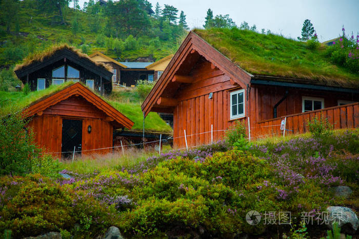 传统的挪威木屋里站在草坪和山在背景上.典型的挪威的房子.