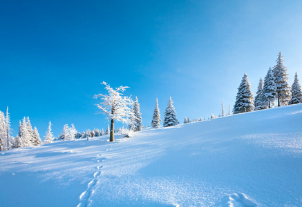 雪域风景