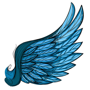 蓝色翅膀的插图