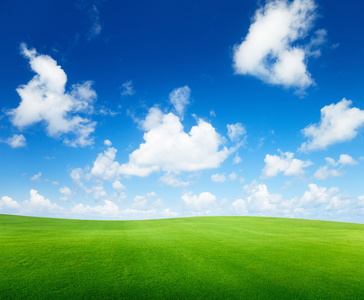 草地和完美的天空