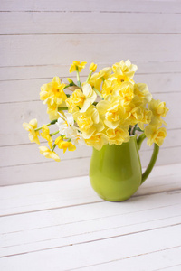 明亮的黄色春天水仙或水仙花