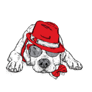 可爱的小狗用帽子和眼镜。矢量图的一张明信片或海报，打印的衣服。纯种狗。拉布拉多