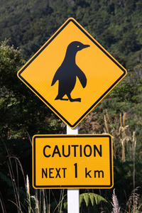 企鹅警告