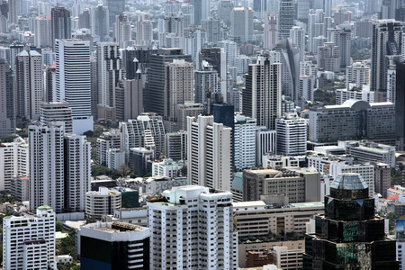 扇形棕榈细纤维 Bangkok 曼谷泰国首都