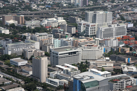 扇形棕榈细纤维 Bangkok 曼谷泰国首都