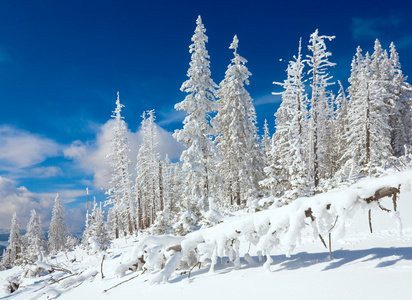 雪域风景