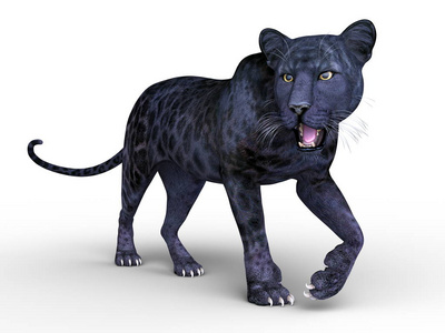 3d cg 渲染的黑豹
