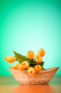 桌子上的一束郁金香花