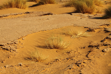 摩洛哥撒哈拉沙漠