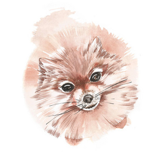 可爱的小狗素描。手绘水彩插图