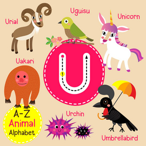 可爱的儿童动物园字母 U 信追踪的有趣动物卡通孩子们英语词汇矢量图