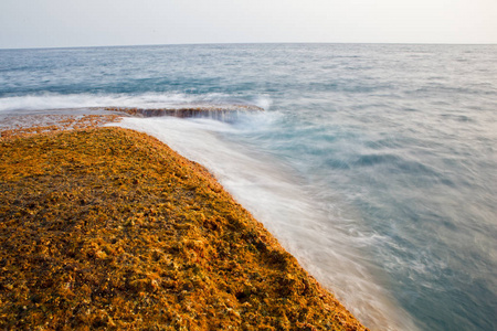 海洋海岸水运动