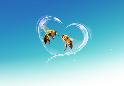 爱的蜜蜂