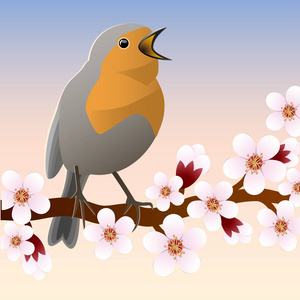 春天的鸟坐在花枝上。矢量插图