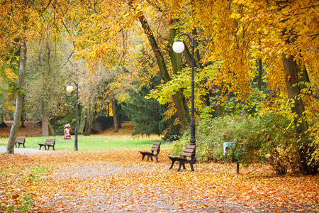 查看跟踪或用橙色和黄色树叶在秋天的公园小径上