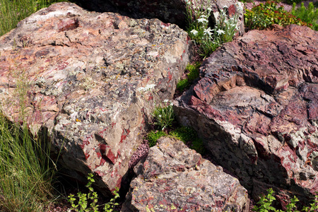 在园林绿化中的乌拉尔石头图片