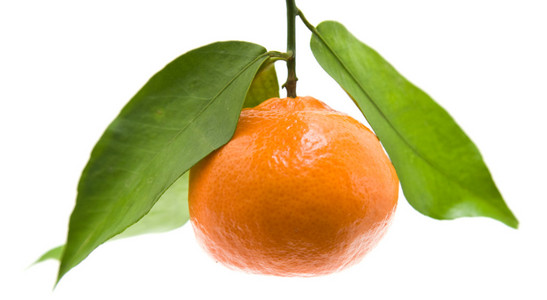柑橘与孤立在白色背景上的叶子