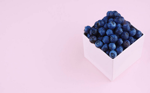 粉色时尚背景上新鲜采摘的蓝莓