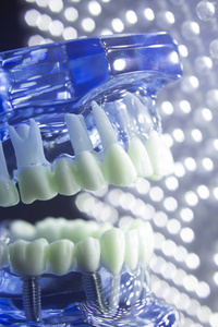 牙医牙科牙齿模型