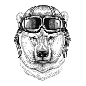 北极熊穿皮革头盔飞行员 骑自行车 摩托车手绘制的插图的纹身 标志 徽章 标志 修补程序