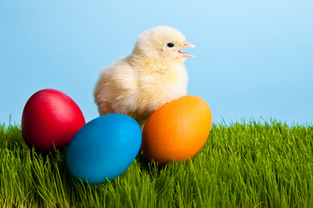 绿色草地上的复活节彩蛋和鸡