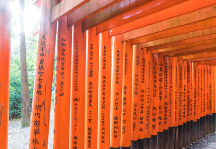 红托里门在伏见 inari 神社在京都，日本