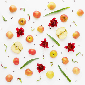 白色背景下的苹果花叶和丁香香料的食物成分
