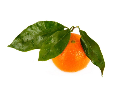在白色背景上分离出叶子的橘子