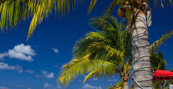 躺椅和遮阳伞美丽的加勒比海滩上
