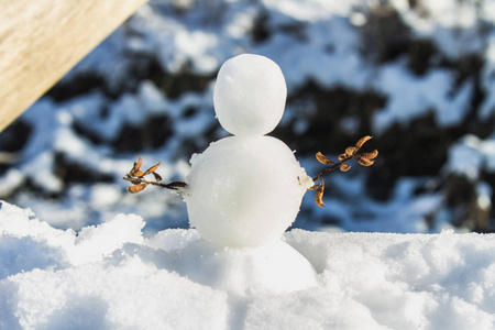 一个小雪人, 手里拿着树枝, 站在阳光下的雪地里