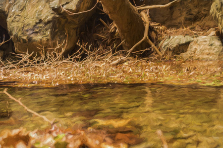 冬季, 希腊克里特岛, 冬季在 Richtis 峡谷的水中的叶子