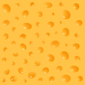 在向量的孔的乳酪的质地