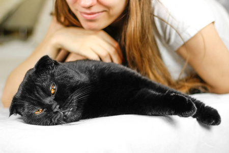年轻漂亮的女孩和一只黑色的苏格兰折耳猫猫