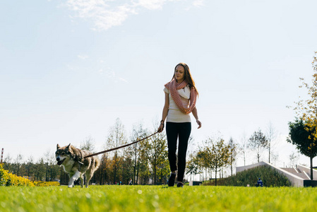 年轻的红头发的女孩和她的大狗走在绿色的草坪