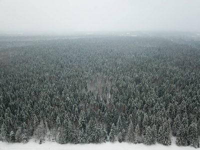 空中, 无人驾驶的雪覆盖着常青树的圣诞树森林景观