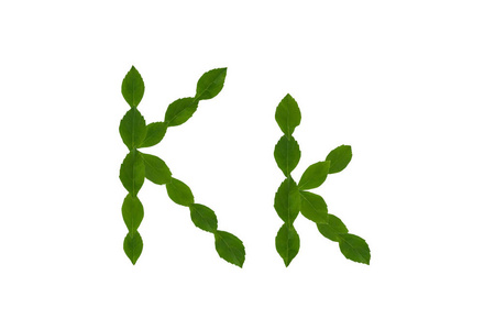 字母 K, 由白色背景的绿色叶子制成的字母