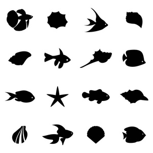Seahells 和鱼在白色分离的载体