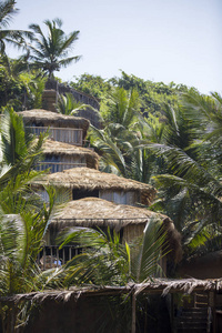 带弧形椰子棕榈树和海滩日光浴的热带度假村的木制小屋。印度可乐海滩
