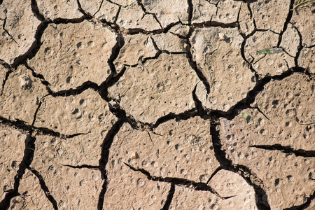 在干燥的季节，全球虫效果上裂土