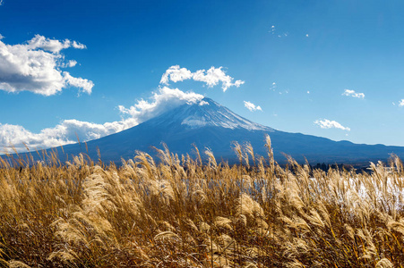 日本秋天的富士山和河口湖