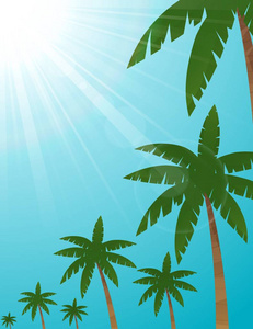 热带海滩的棕榈树景观背景