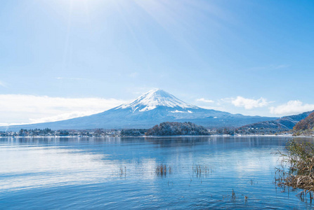 在河口湖山富士 San