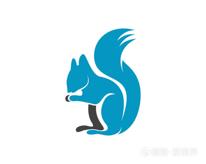 松鼠动物标志和符号模板图标应用程序