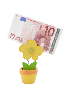10 欧元在花盆的形式持有人