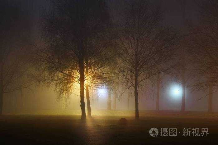 雾气朦胧神秘的夜晚
