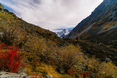 俄罗斯和哈萨克斯坦附近阿尔泰地区山 Belukha 的看法