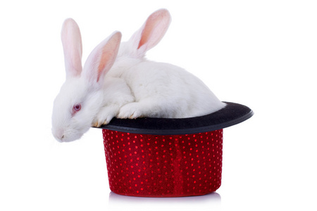 两只可爱的兔子站在红帽子里