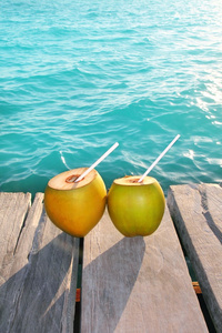 加勒比海椰子鸡尾酒棕榈树叶