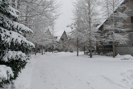 滑雪小屋覆盖在雪在加拿大惠斯勒